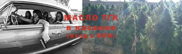 индика Арсеньев