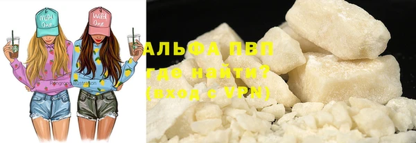 индика Арсеньев
