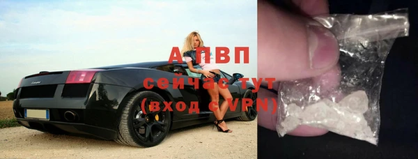 индика Арсеньев