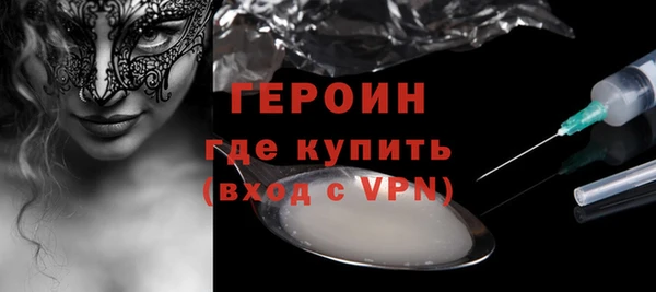 индика Арсеньев