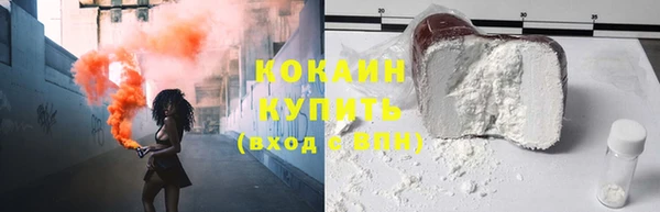 индика Арсеньев
