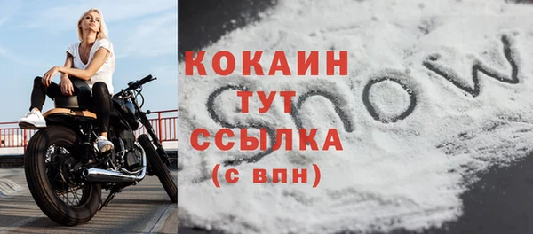 индика Арсеньев