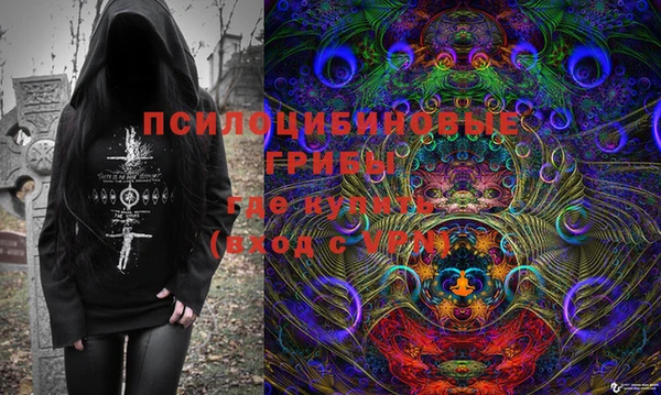 spice Армянск