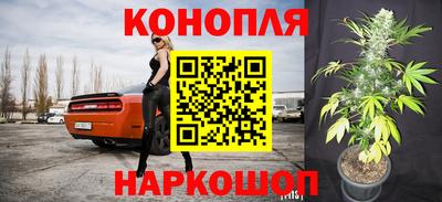 шишки Апрелевка