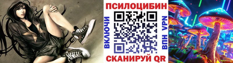 mega зеркало  Асбест  Псилоцибиновые грибы мицелий 