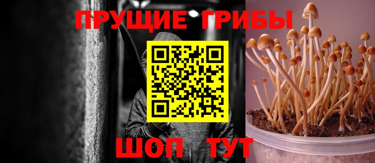 купить наркотик  Вход с VPN  Псилоцибиновые грибы прущие грибы  Асбест  Галлюциногенные грибы MAGIC MUSHROOMS 